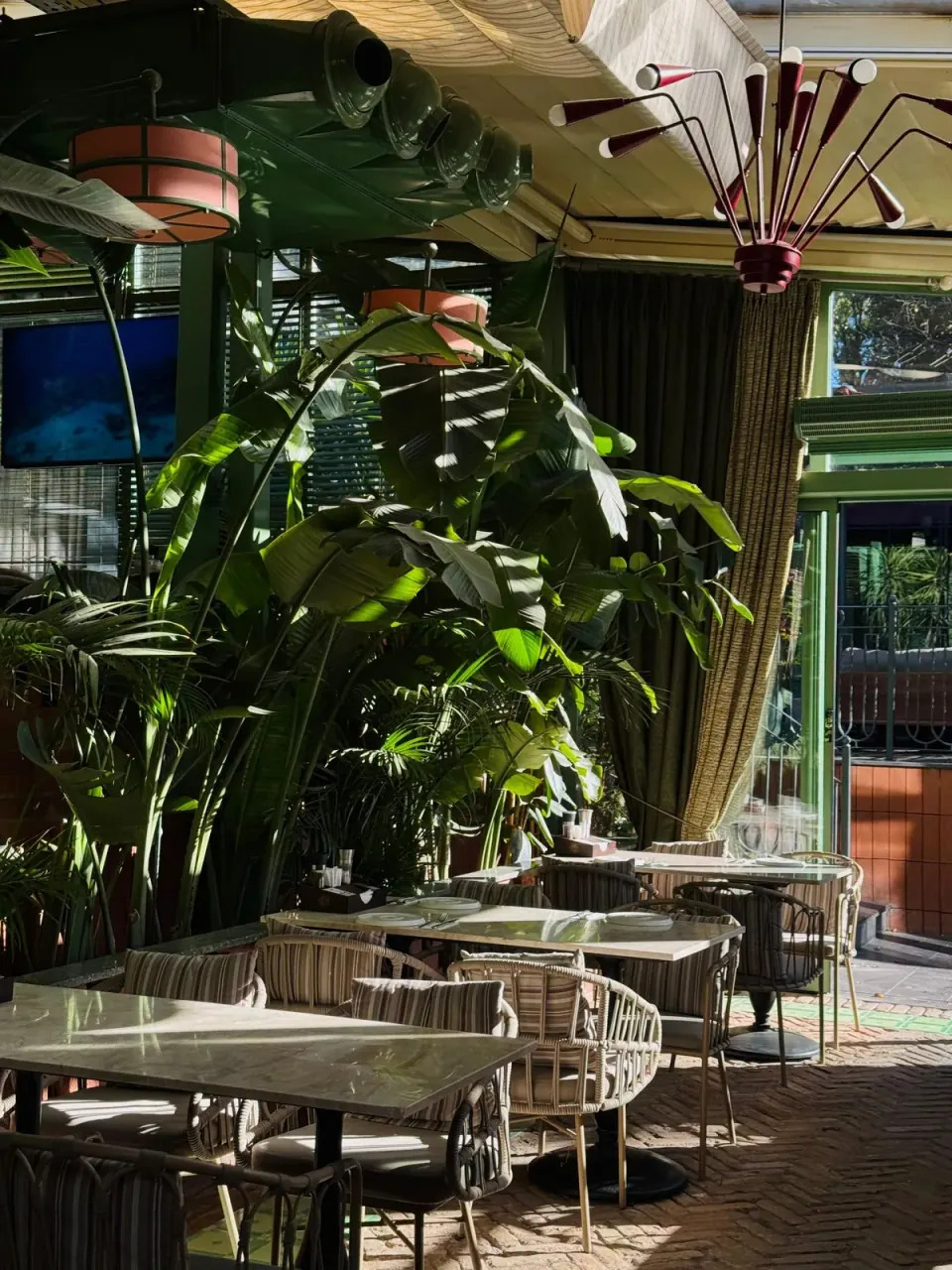 A sunlit restaurant dining room with plants and woven chairs
